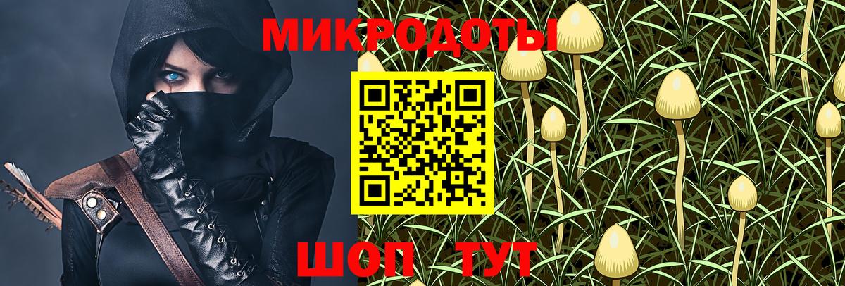 Галлюциногенные грибы Psilocybine cubensis  Вход с VPN  наркотики  Москва 