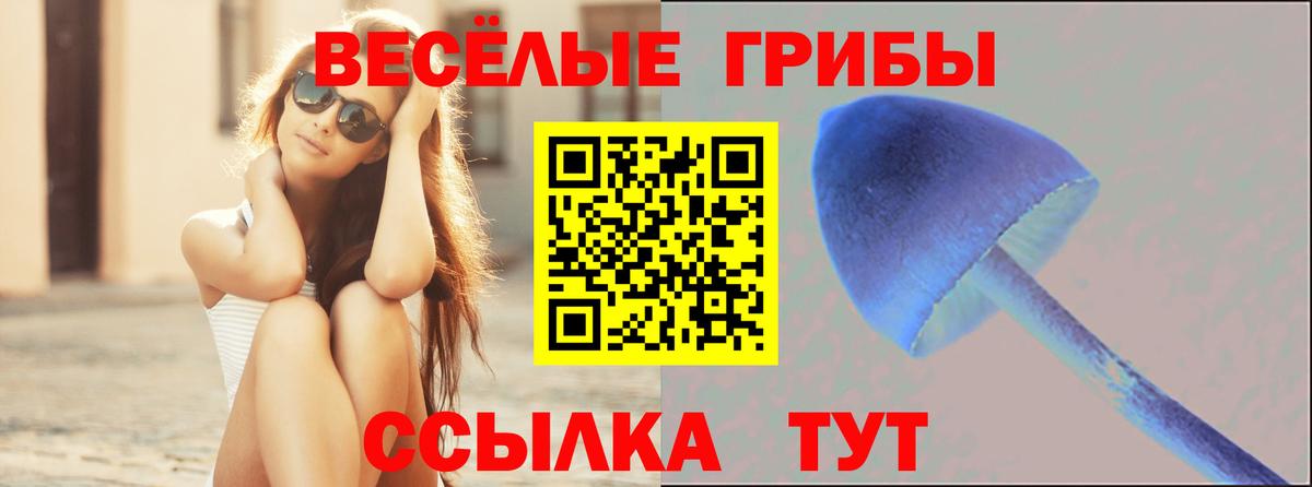 Псилоцибиновые грибы GOLDEN TEACHER Москва